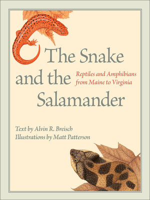 cover image of The Snake and the Salamander